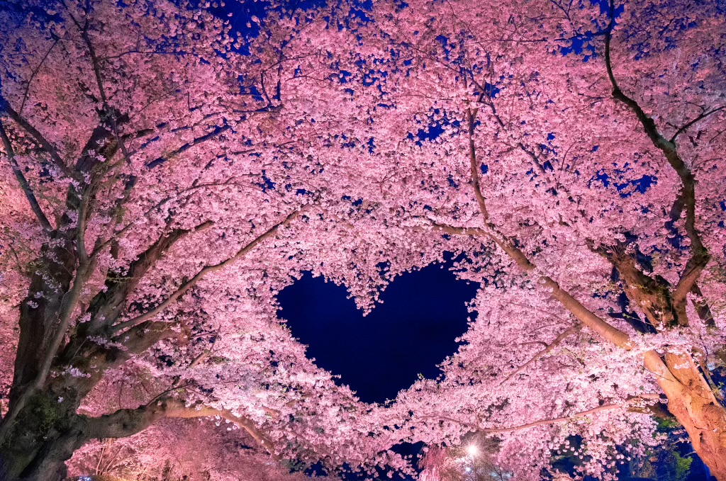 Scenic view of Japan